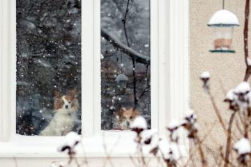 4 причины установить окна зимой